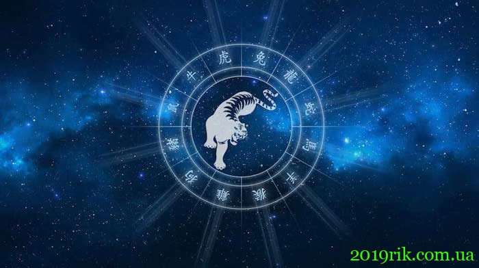 Східний гороскоп на 2020 рік для Тигра
