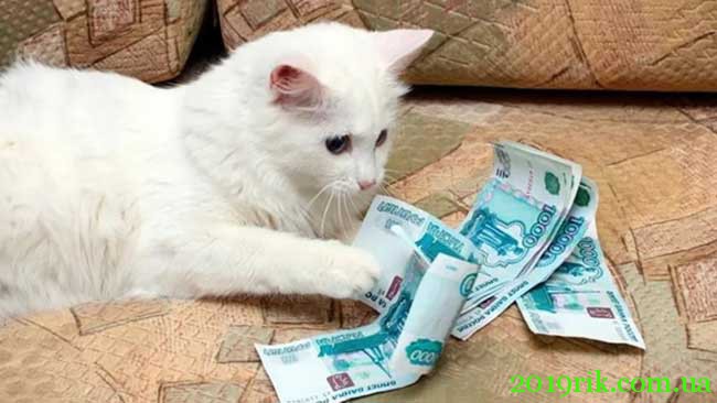 Податок на домашніх тварин у Росії 