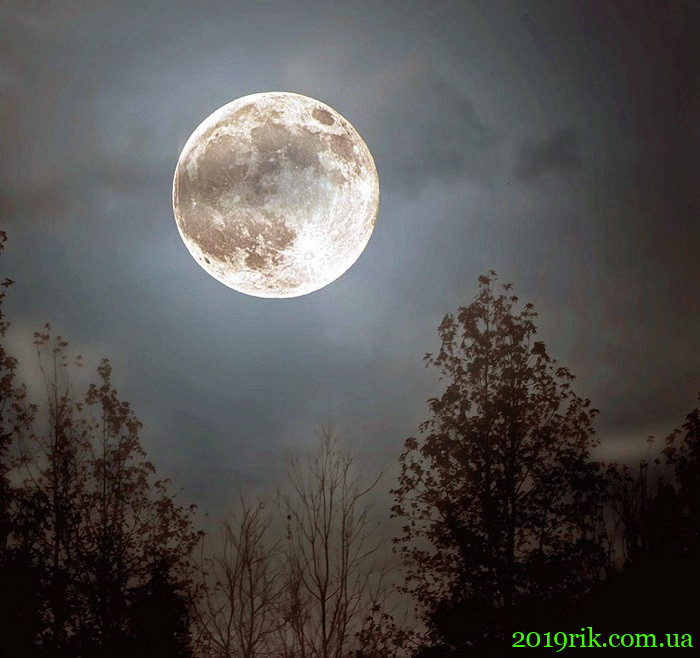 світит місяць 